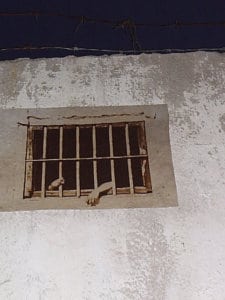 Chapter 7 - Break Free From The Cell Phone Contract