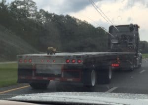 Look closely at this picture. Do you see it?